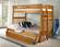 Sacramento Bunk Bed w/Short Ladder Pecan by Innovations