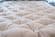 Pastoral 4.5 Inch Organic Wool Mattress by Savvy Rest