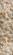 Sparta Ivory Tropical Branches Area Rug by KAS Rugs
