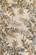 Sparta Ivory Tropical Branches Area Rug by KAS Rugs