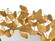 Lyrical Gold 36