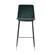 Evora Green Velvet Counter Stool (Set of 2) by TOV Furniture
