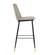 Evora Gray Velvet Counter Stool (Set of 2) by TOV Furniture