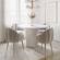 Gardenia Light Gray Velvet Dining Chair by TOV Furniture