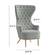 Jezebel Gray Velvet Wingback Chair by TOV Furniture