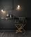 Director Black & Gold Stainless Steel Barstool by TOV Furniture