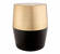 Jadran Black & Gold Stool by TOV Furniture