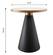 Richard White & Black Marble Side Table by TOV Furniture