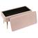 Ziva Blush Velvet Storage Bench by TOV Furniture