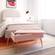 Ziva Blush Velvet Storage Bench by TOV Furniture
