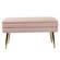 Ziva Blush Velvet Storage Bench by TOV Furniture