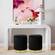 Zoe Black Velvet Storage Ottoman by TOV Furniture
