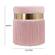 Melody Blush Tasseled Ottoman by TOV Furniture