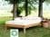 Tranquility 7 Inch Organic Dunlop Mattress by Savvy Rest