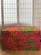 Unifoam Bench/Sleeper Cotton Print Safari by Prestige Furnishings