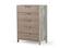 Nova Domus Boston - Modern Brown Oak & Brushed Stainless Steel Chest by VIG Furniture