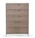 Nova Domus Boston - Modern Brown Oak & Brushed Stainless Steel Chest by VIG Furniture