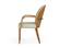 Modrest Rexford - Modern Grey & Walnut Dining Armchair by VIG Furniture