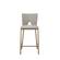 Modrest Burton - Contemporary Beige + Brass Counter Stool (Set of 2) by VIG Furniture
