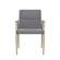 Modrest Sabri - Contemporary Grey & Antique Brass Arm Dining Chair by VIG Furniture