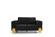 Divani Casa Georgia- Modern Velvet Glam Black Gold Loveseat by VIG Furniture