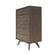 Modrest Novak Modern Dark Oak Chest by VIG Furniture