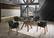 Modrest Jozy - Modern Grey & Walnut Dining Chair (Set of 2) by VIG Furniture