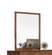 Nova Domus Soria Modern Walnut Mirror by VIG Furniture