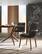 Modrest Utah - Modern Walnut & Brown Eco-Leather Dining Chair- (Set of 2) by VIG Furniture