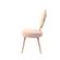 Modrest Haswell - Glam Pink Velvet Accent Chair (Set of 2) by VIG Furniture