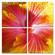Modrest Hibiscus 4-Panel Photo on Canvas by VIG Furniture