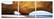 Modrest Dome 3-Panel Photo On Canvas by VIG Furniture