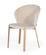 Modrest Nadia - Modern Beige Velvet & Rosegold Dining Chair (Set of 2) by VIG Furniture