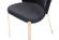 Modrest Nadia Modern Black Velvet & Rosegold Dining Chair (Set of 2) by VIG Furniture