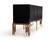 Modrest Token Modern Black & Rosegold Buffet by VIG Furniture