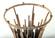 Modrest Paxton Modern Round Glass & Rosegold Dining Table by VIG Furniture