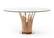 Modrest Paxton Modern Round Glass & Rosegold Dining Table by VIG Furniture