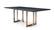 Modrest Pike - Modern Black Ash & Brass Dining Table by VIG Furniture