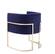 Modrest Betsy - Modern Navy Blue Velvet & Gold Kids Chair by VIG Furniture