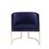 Modrest Betsy - Modern Navy Blue Velvet & Gold Kids Chair by VIG Furniture