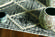Willow Charcoal Diamonds Area Rug by KAS Rugs