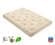 Organic Cotton w/Wool 8 Inch Mattress by Gold Bond