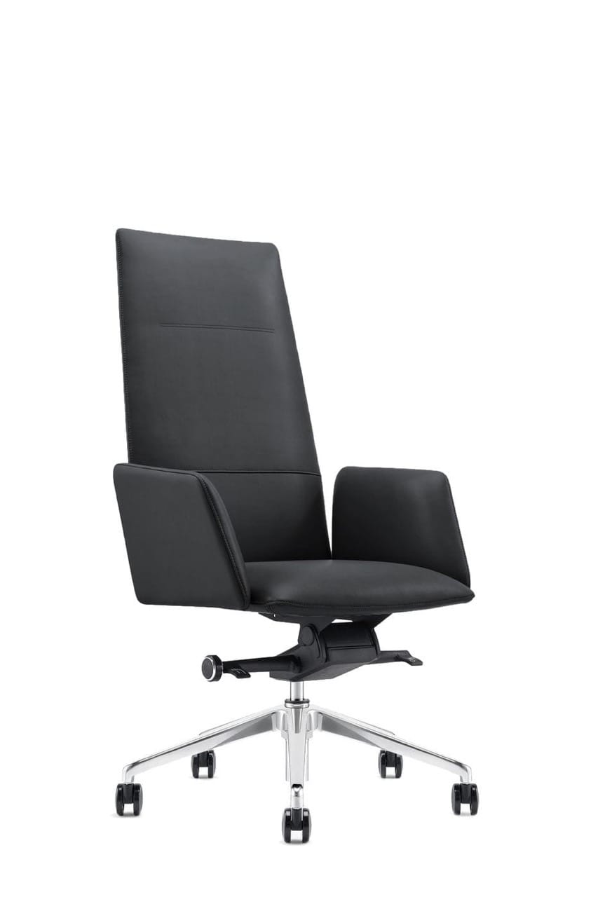 Modrest Tricia Executive Office Chair - Thumbnail 2