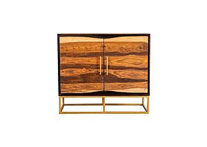 Zara 2-door Accent Cabinet Black Walnut and Gold by Coaster