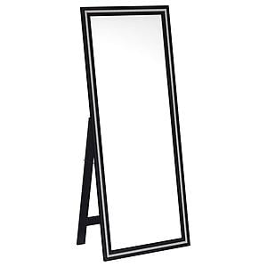 Windrose 28 x 67 Inch Tempered LED Standing Mirror Black by Coaster