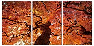 Wall Art Oak by J&M Furniture
