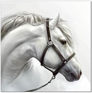 Wall Art White Horse by J&M Furniture