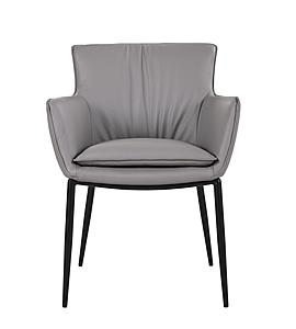 Kani Leather Armchair in Grey 821 by J&M Furniture