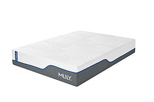Wellflex 3.0 12" Plush Memory Foam Mattress by Mlily