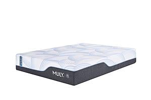 Wellflex Ice 1.0 14" Firm Memory Foam Mattress by Mlily